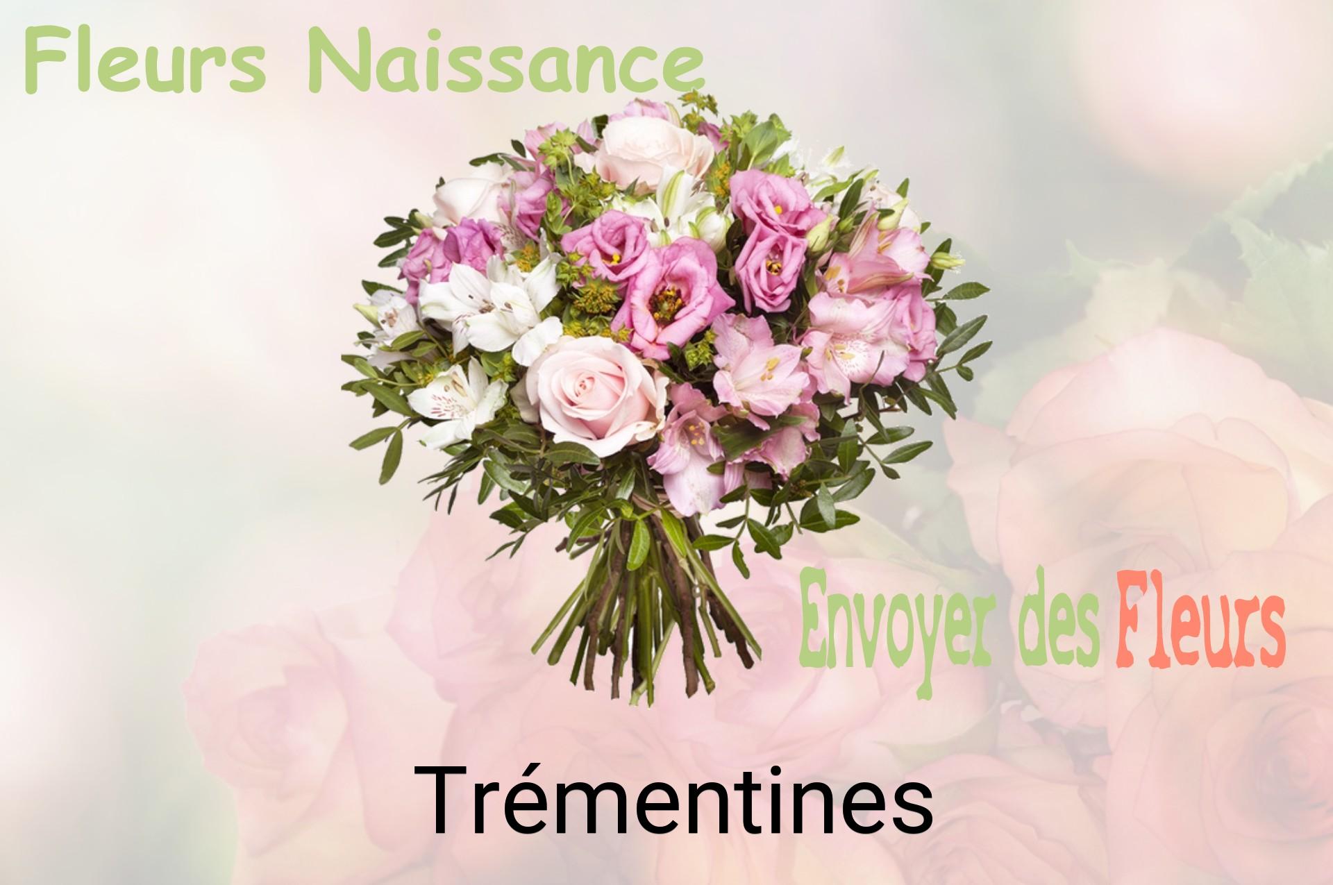 Bouquet de fleurs de naissance livré à Trémentines